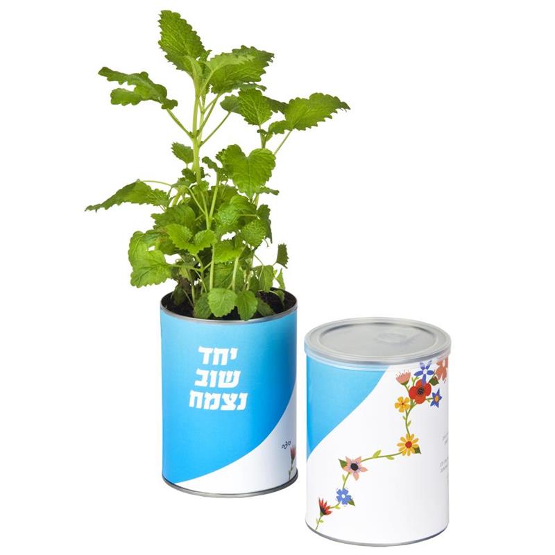 התמונה הראשית של ערכת גידול צמח תבלין - יחד שוב נצמח - דגם פרחים