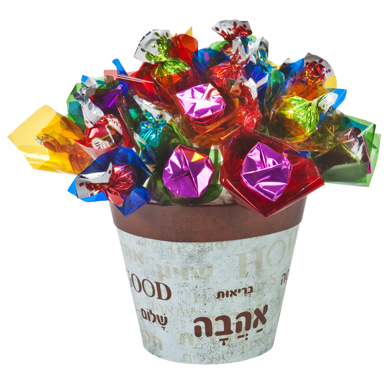 התמונה הראשית של סידור מתוק בעציץ חברתי