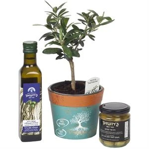 עץ זית בתוספת שמן זית וזיתים