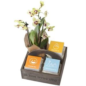 פריחת הסחלב עם שוקולד גורמה