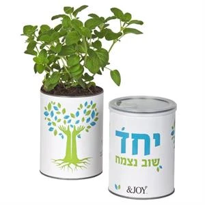 ערכת גידול בפחית