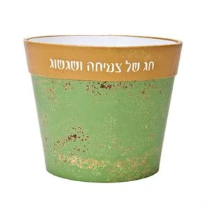 בית עציץ - קטן - צמיחה ושגשוג