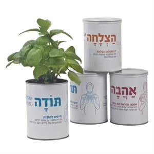 ערכת גידול צמח תבלין מסדרת כולנו רוצים את אותו הדבר