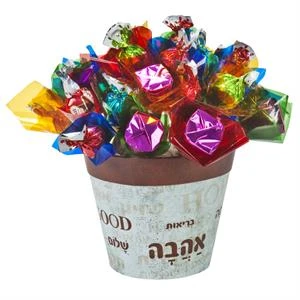 סידור מתוק בעציץ חברתי